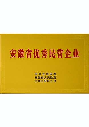 安徽省百名优异民营企业