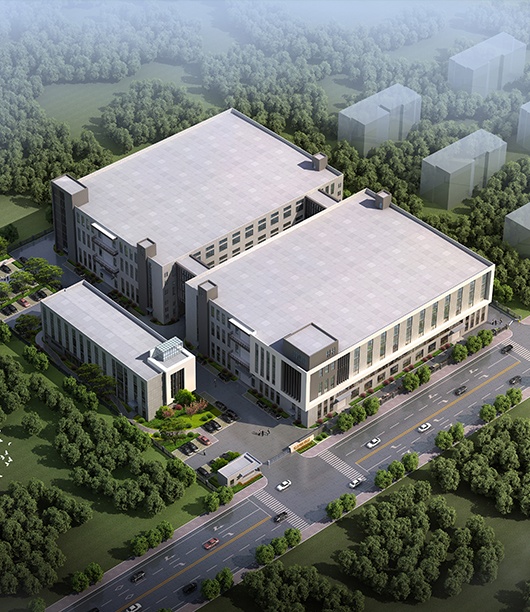 ���ھ��ݿ���