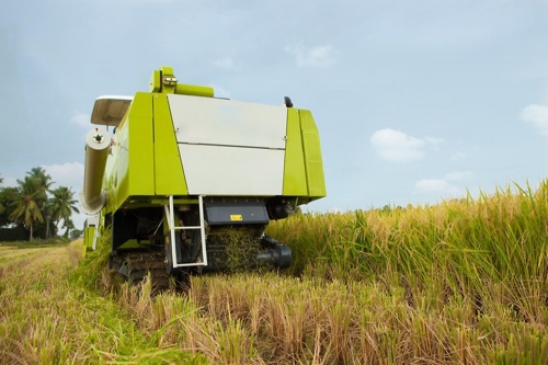 С���ո��Ӧ��